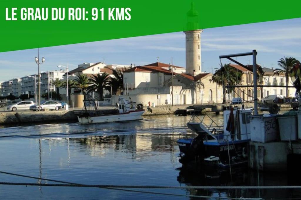 The Rooftop - Ac Clim - Wi-Fi - Parking Gratuit Dans La Rue Avignone Esterno foto